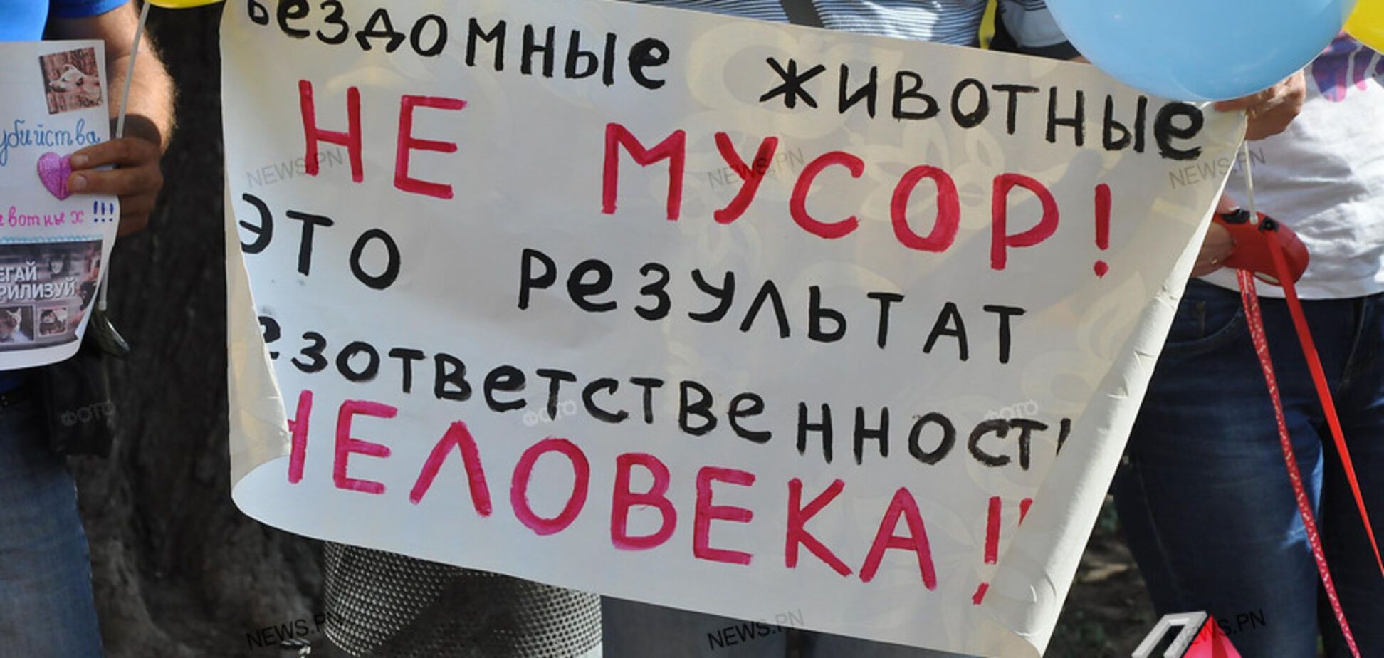 Скандал с убийством собак в Николаеве: зоозащитники забили тревогу