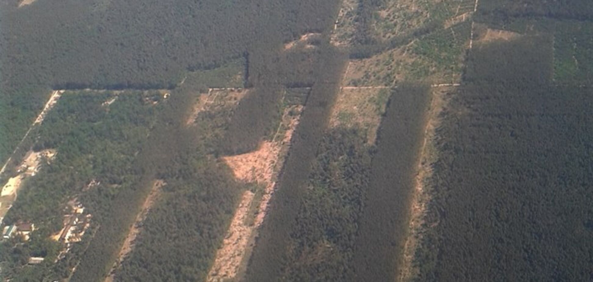 'Короед прошелся?' Масштабную вырубку леса в Киеве сняли с воздуха