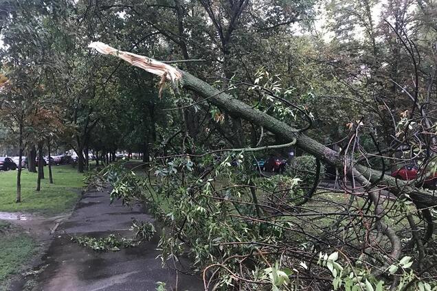 Київ накрив потужний ураган: фото і відео погодного 'армагеддону'