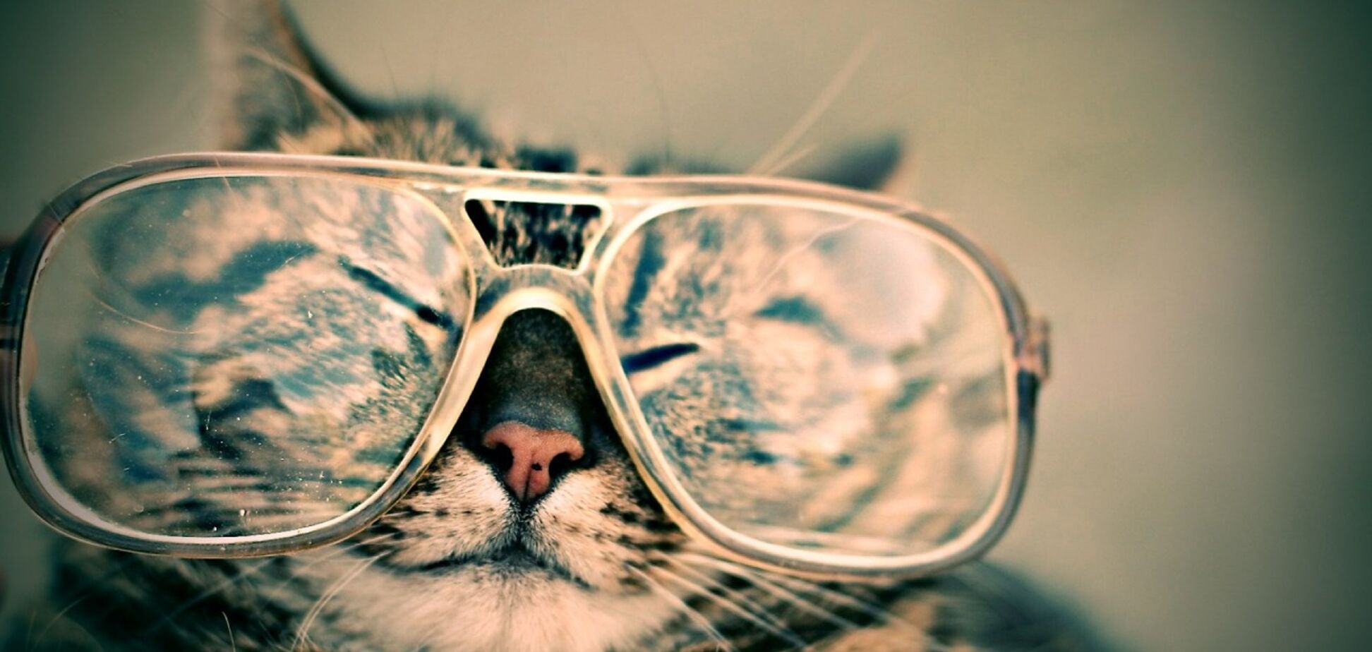 Анекдоты дня: самые смешные приколы за 25 июля