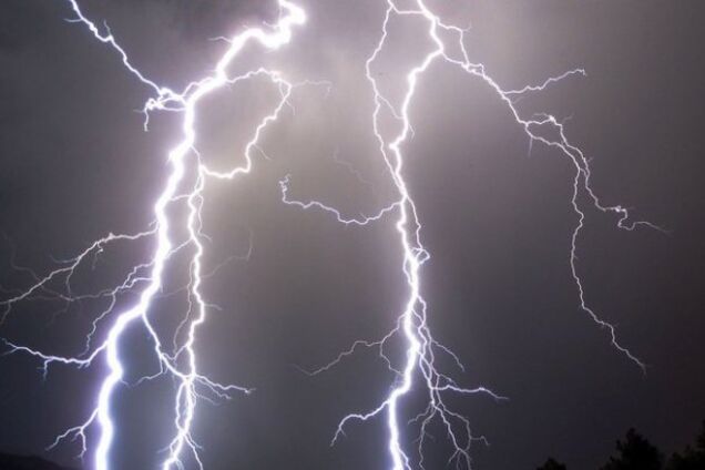 В Запорожской области в двоих человек попала молния
