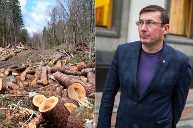 Обращение OBOZREVATEL к Луценко: причастен ли ваш сын к экспорту леса?