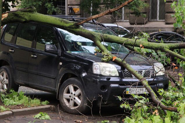 Одессу накрыла стихия: жуткие фото последствий
