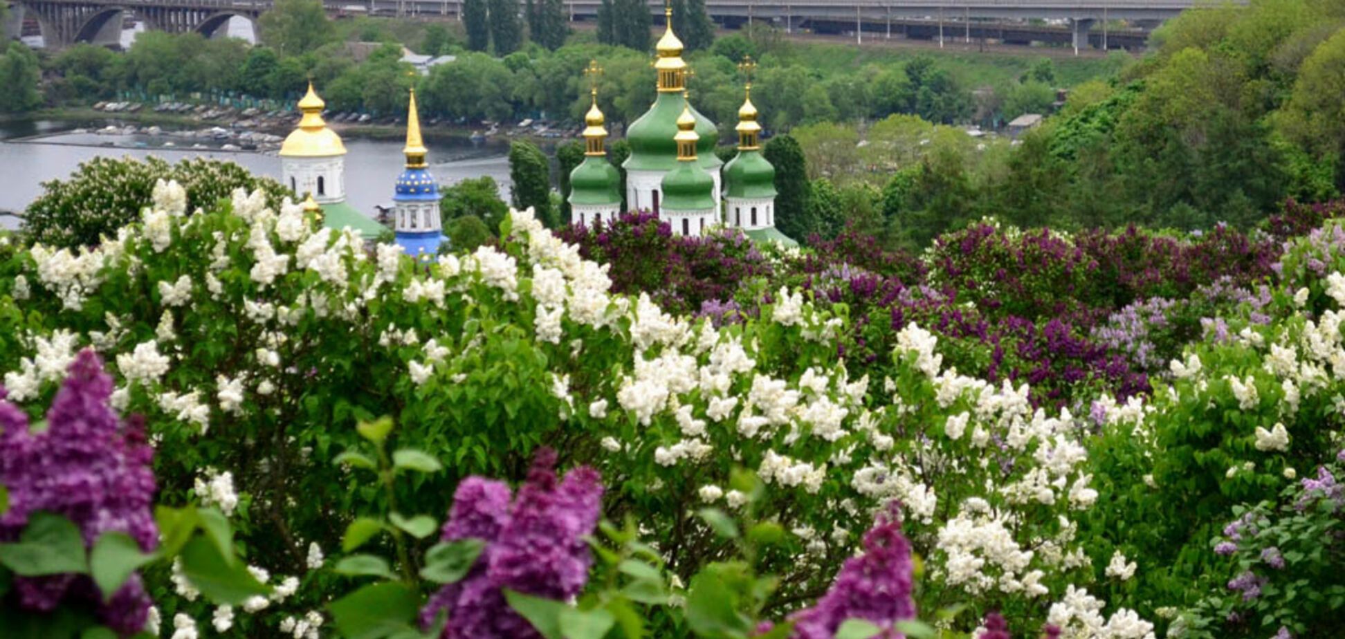 Кто наживается на 'гадюшнике' в ботсаде Киева: Горбаль дал ответ