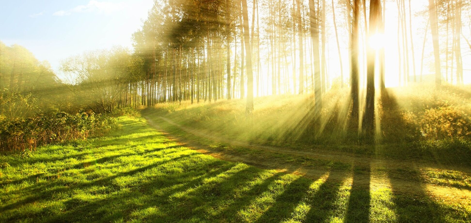 Приметы на 28 июля: что нельзя делать