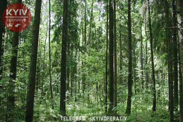 Жестокое убийство девушки в Киеве: появились детали