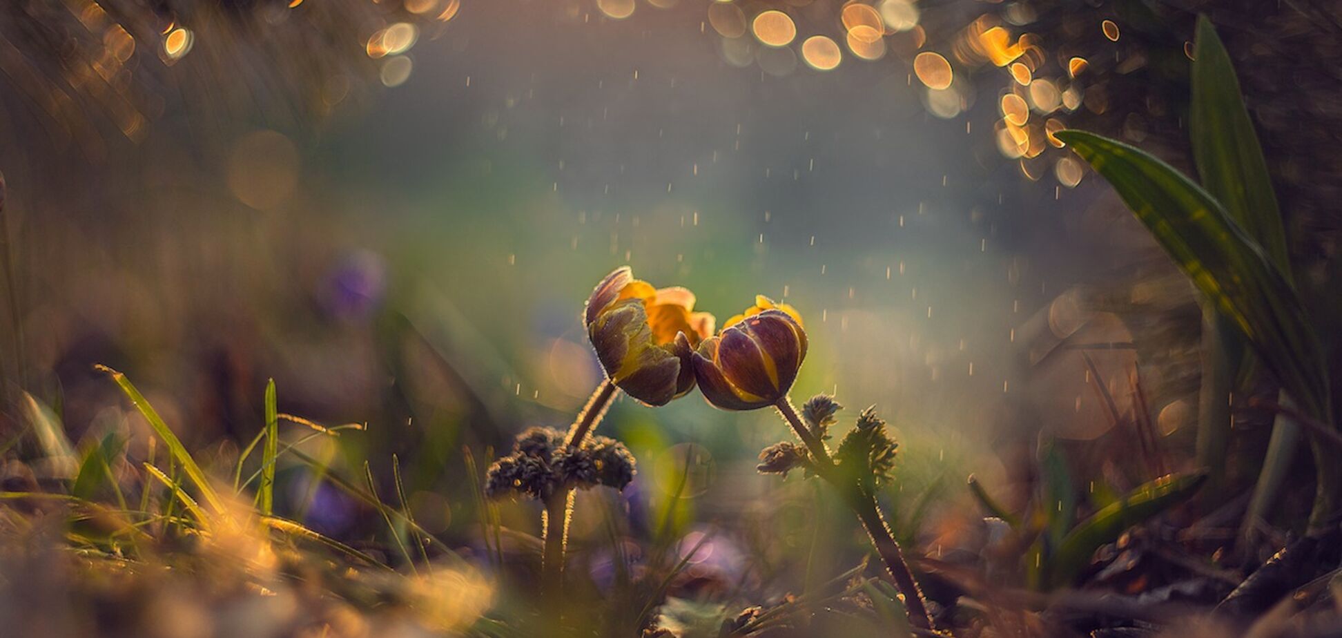 Гороскоп на июль 2018: названы благословенные дни