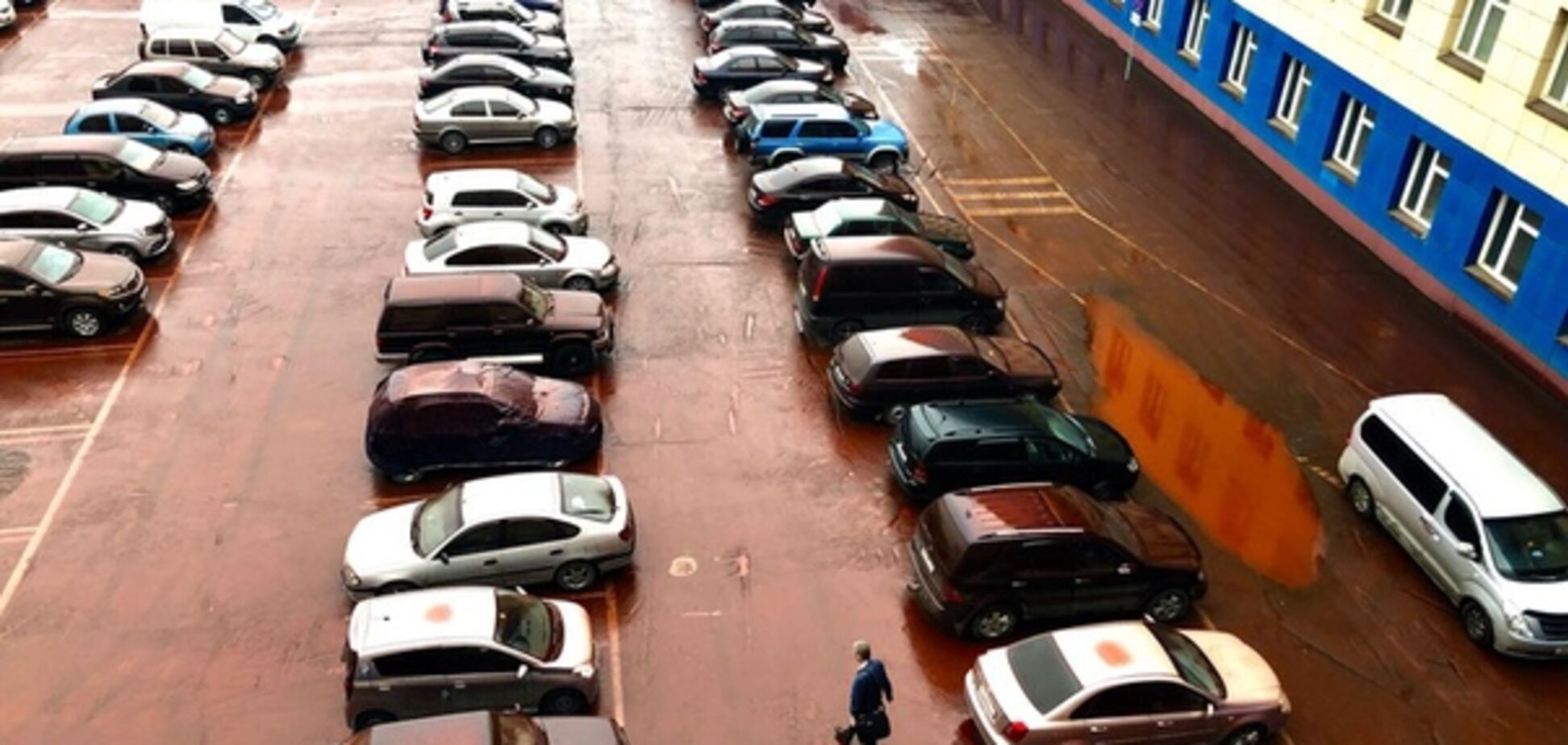 В России прошел кровавый дождь: жуткие фото и видео