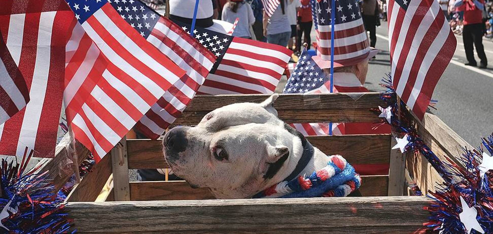 4 июля 2018: какой сегодня праздник