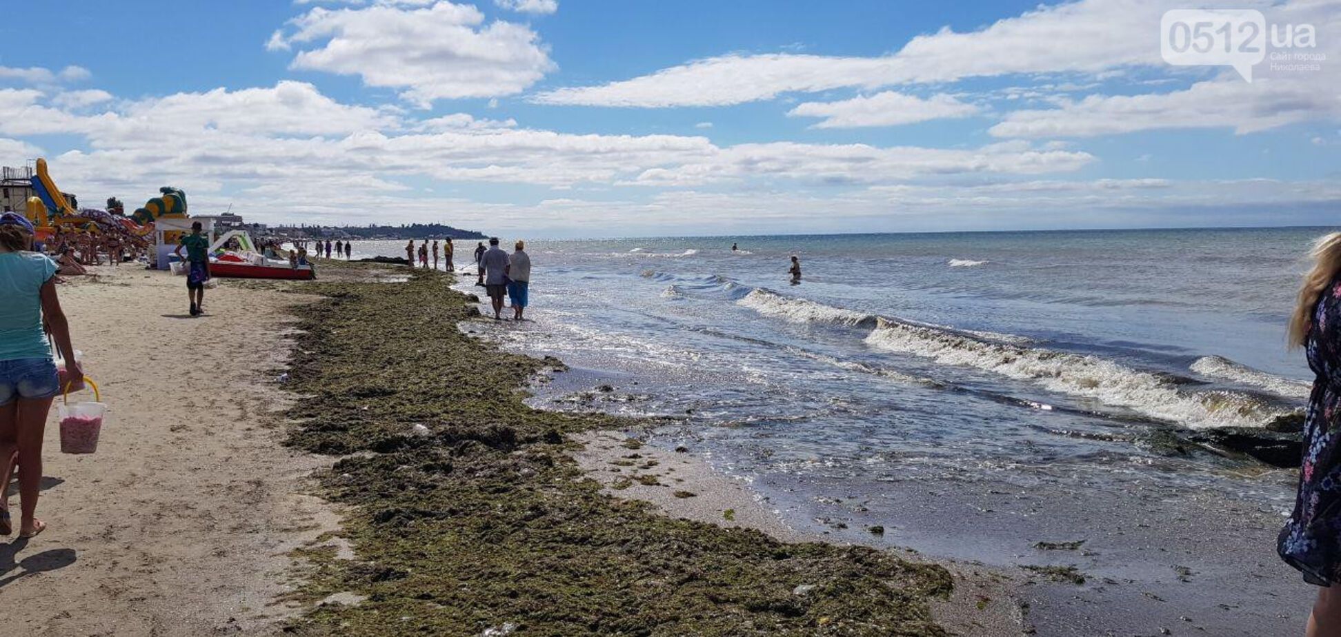 Популярний український курорт 'атакували' водорості: фото і відео