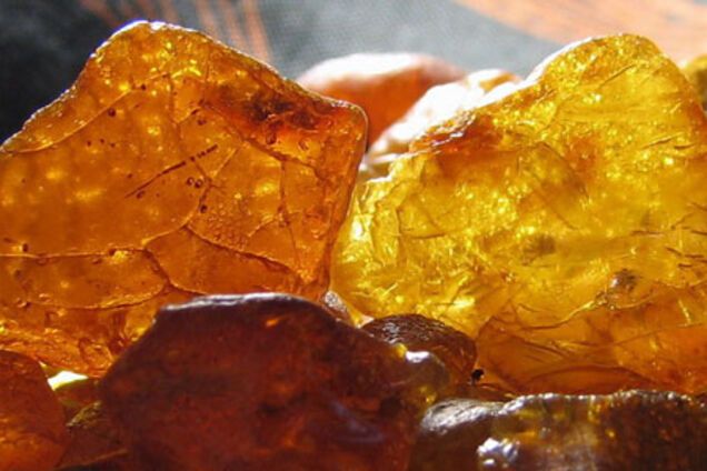 Під Житомиром копи після переслідування затримали рекордну партію бурштину: фото здобичі