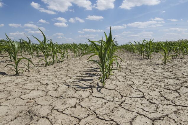 Буде багато жертв: Землі напророкували кліматичну катастрофу