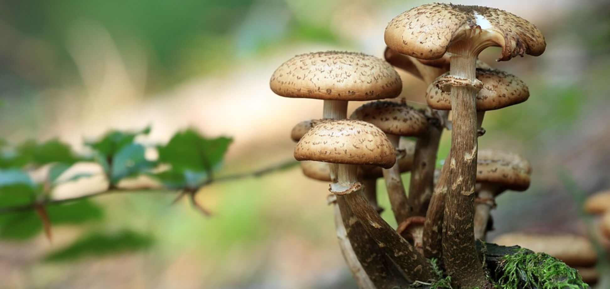 Приметы на 31 июля: что нельзя делать