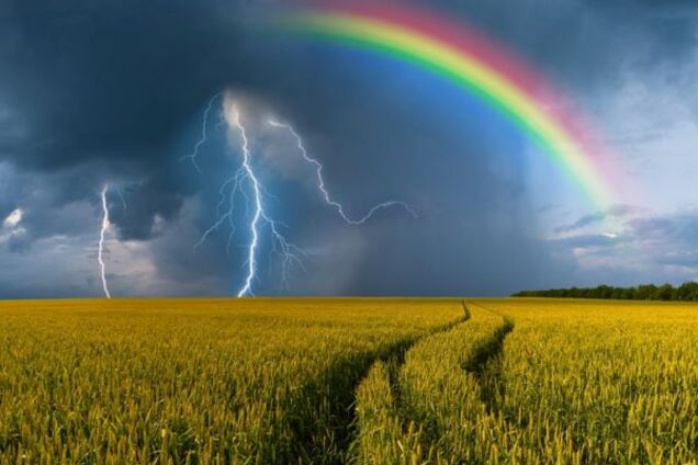 Грозы и жара: появился прогноз погоды на начало августа в Украине