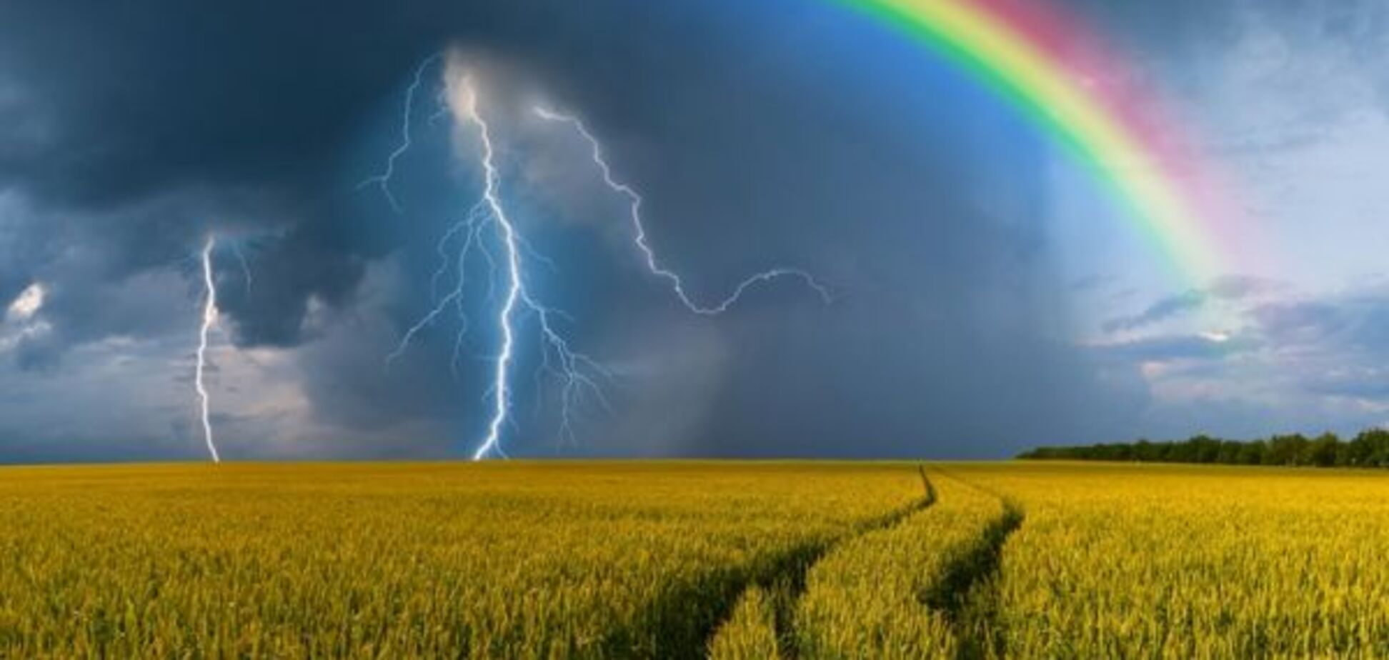 Украину вновь зальет дождями: появился прогноз погоды на выходные