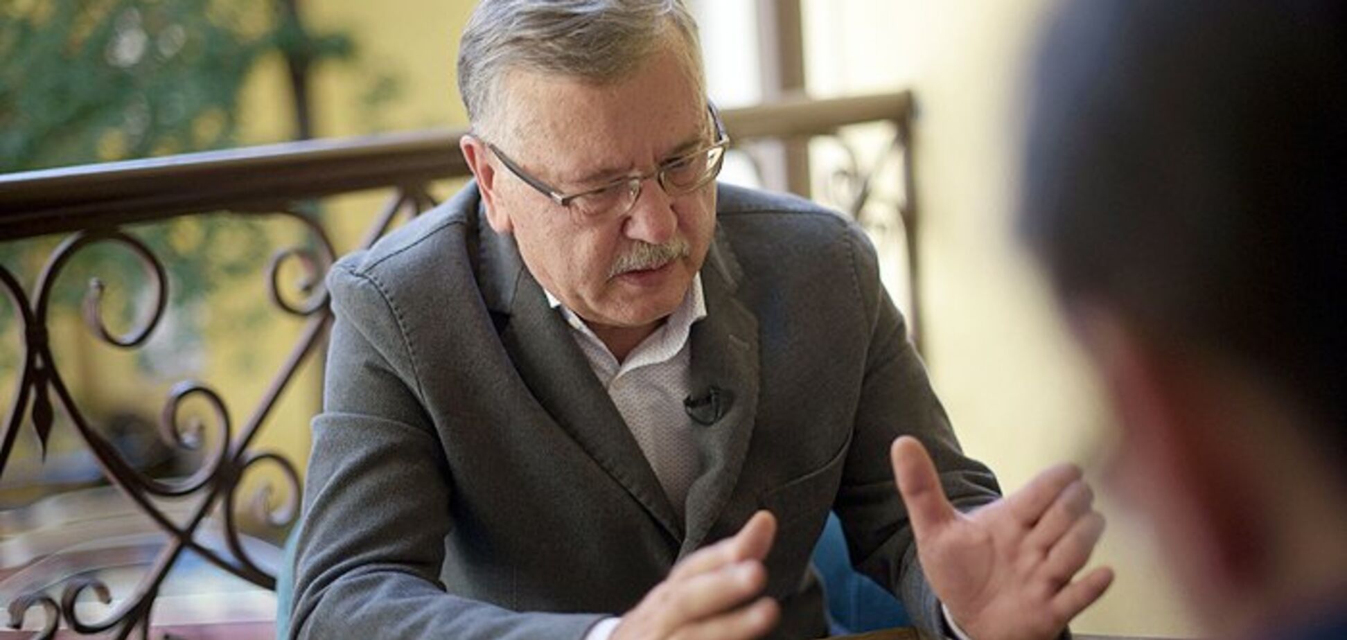 Анатолій Гриценко: 'Посадки'? Будуть!