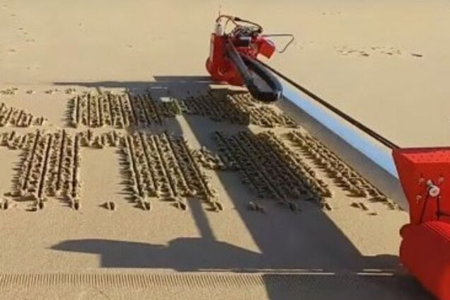 Тексти на піску: в Іспанії з'явився робот-принтер