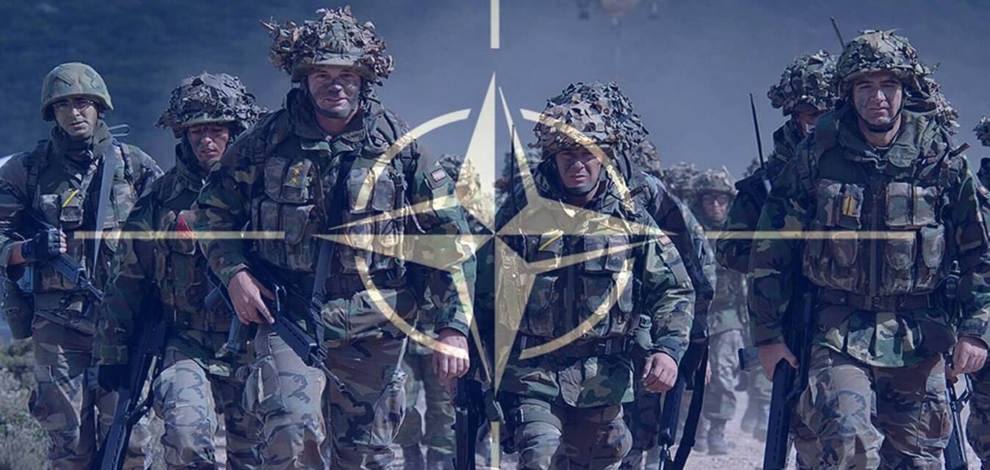 Обгоним многих: Анатолий Гриценко дал четкий план пути Украины в НАТО