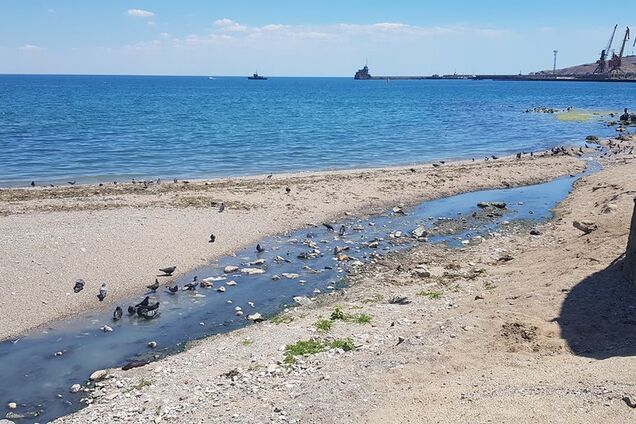 Бруд і злидні: з'явилися свіжі фото з курортів Криму
