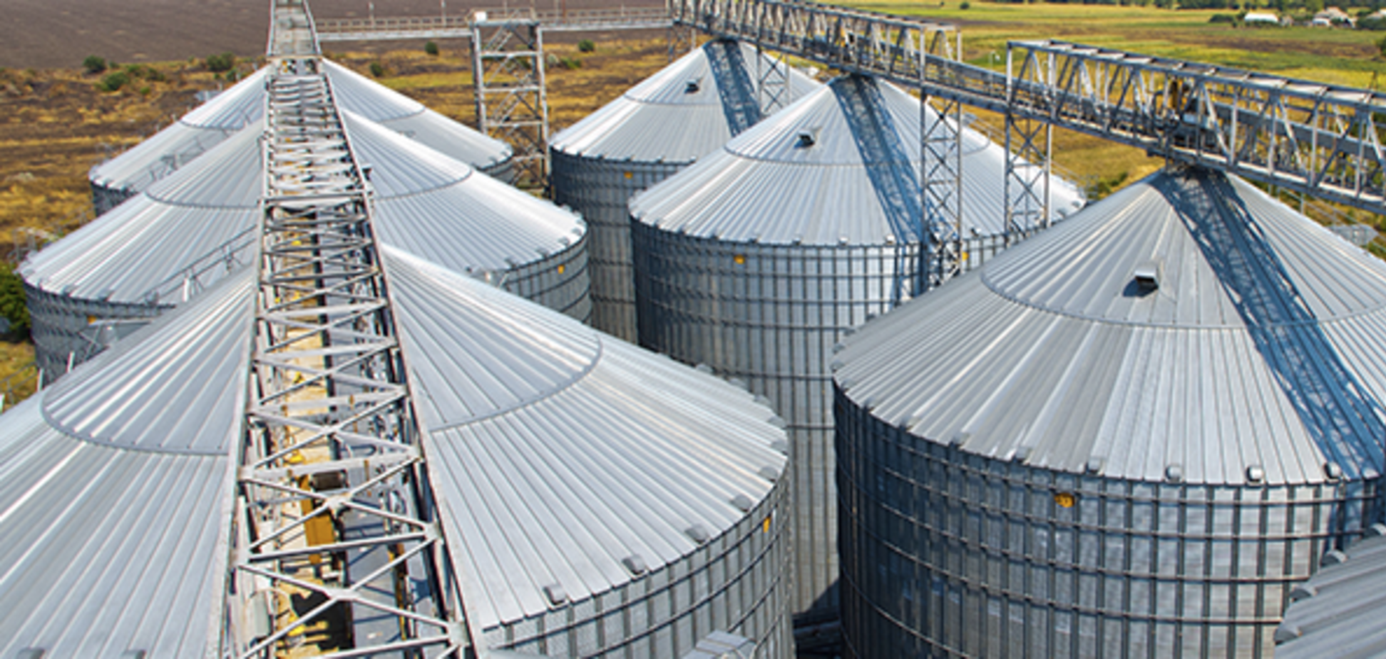 Рада разрешила компании Хомутынника 'Кернел' посягнуть на дотации фермеров