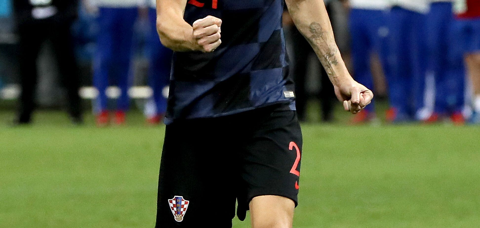 Домагой Вида