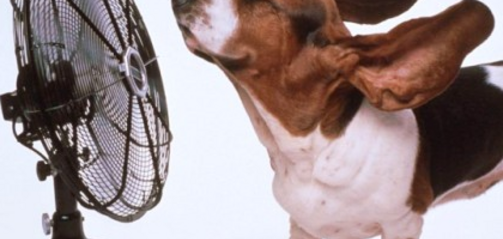 'Так буде весь тиждень': синоптик уточнила прогноз погоди в Україні