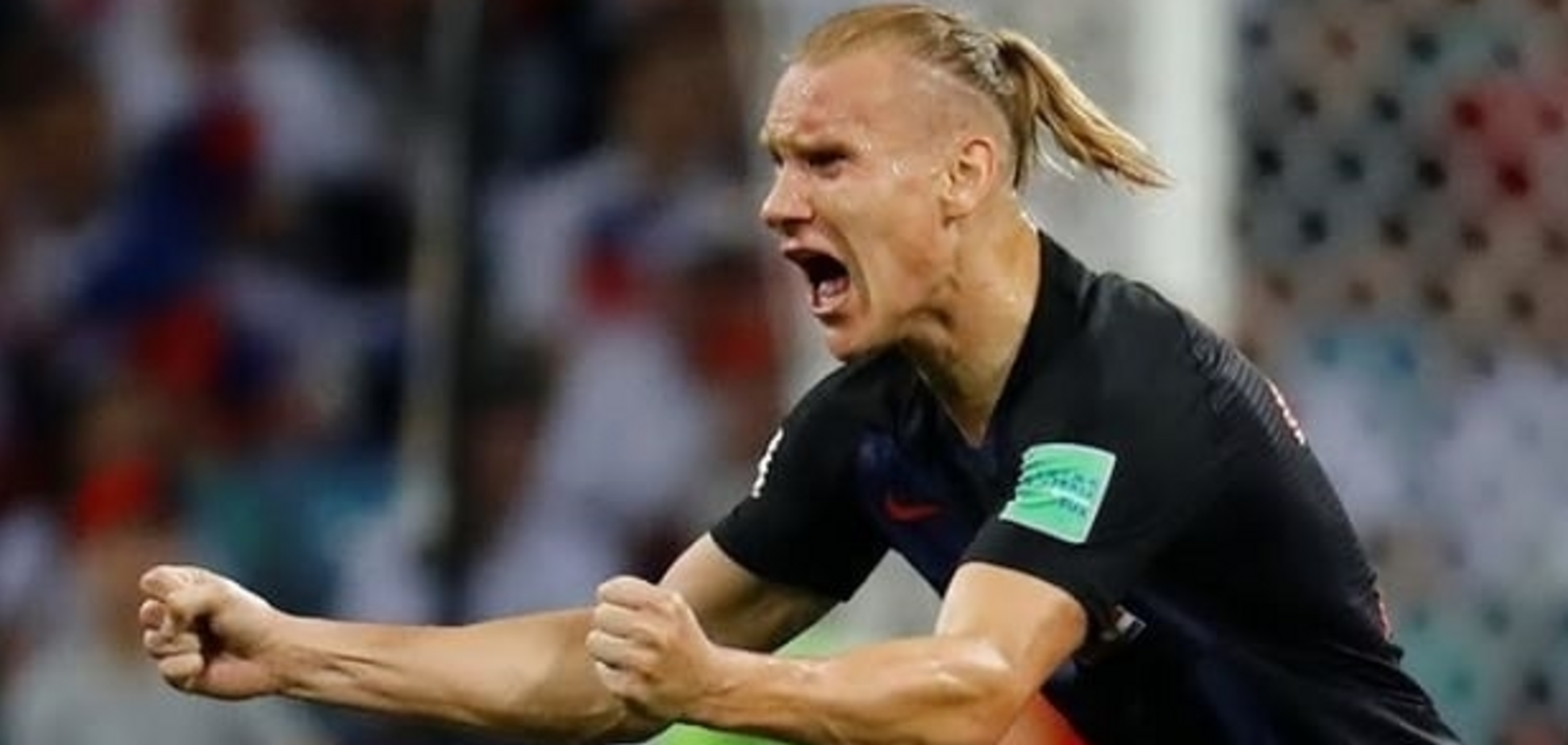 Домагой Вида