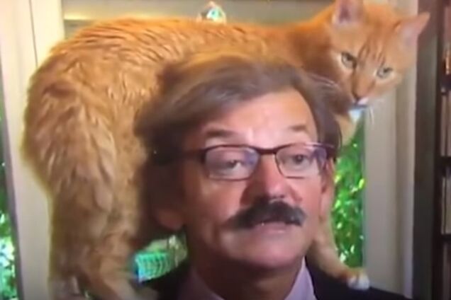 Кот стал звездой интервью с историком: видео стало вирусным в сети