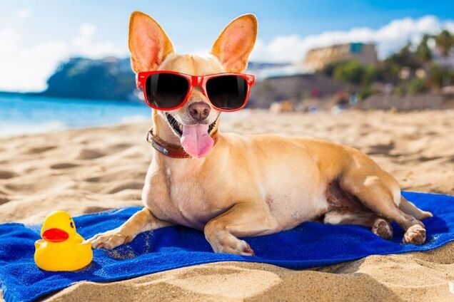 Спека повертається: синоптики попередили про зміну погоди в Україні