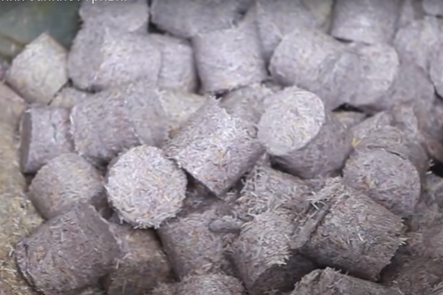 Под Днепром нашли изрезанные миллионы гривен: стало известно, что произошло