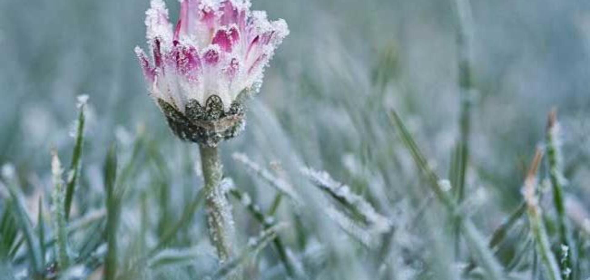 Ударят заморозки и накроют бури: синоптики предупредили о 'сюрпризах' в августе