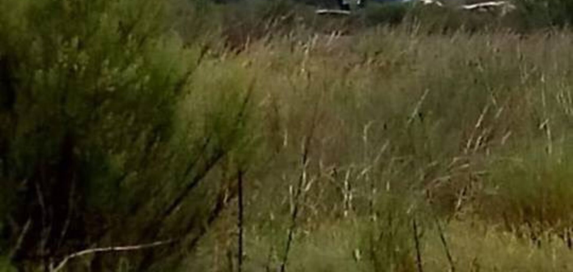 У Мексиці розбився літак із сотнею пасажирів: фото з місця НП