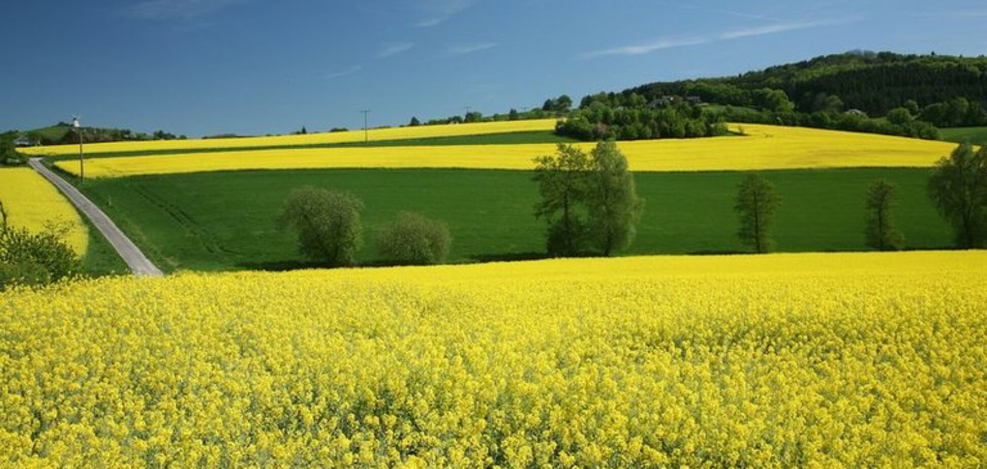 Ukrlandfarming поддержал приложение для фермеров от 'Киевстар'