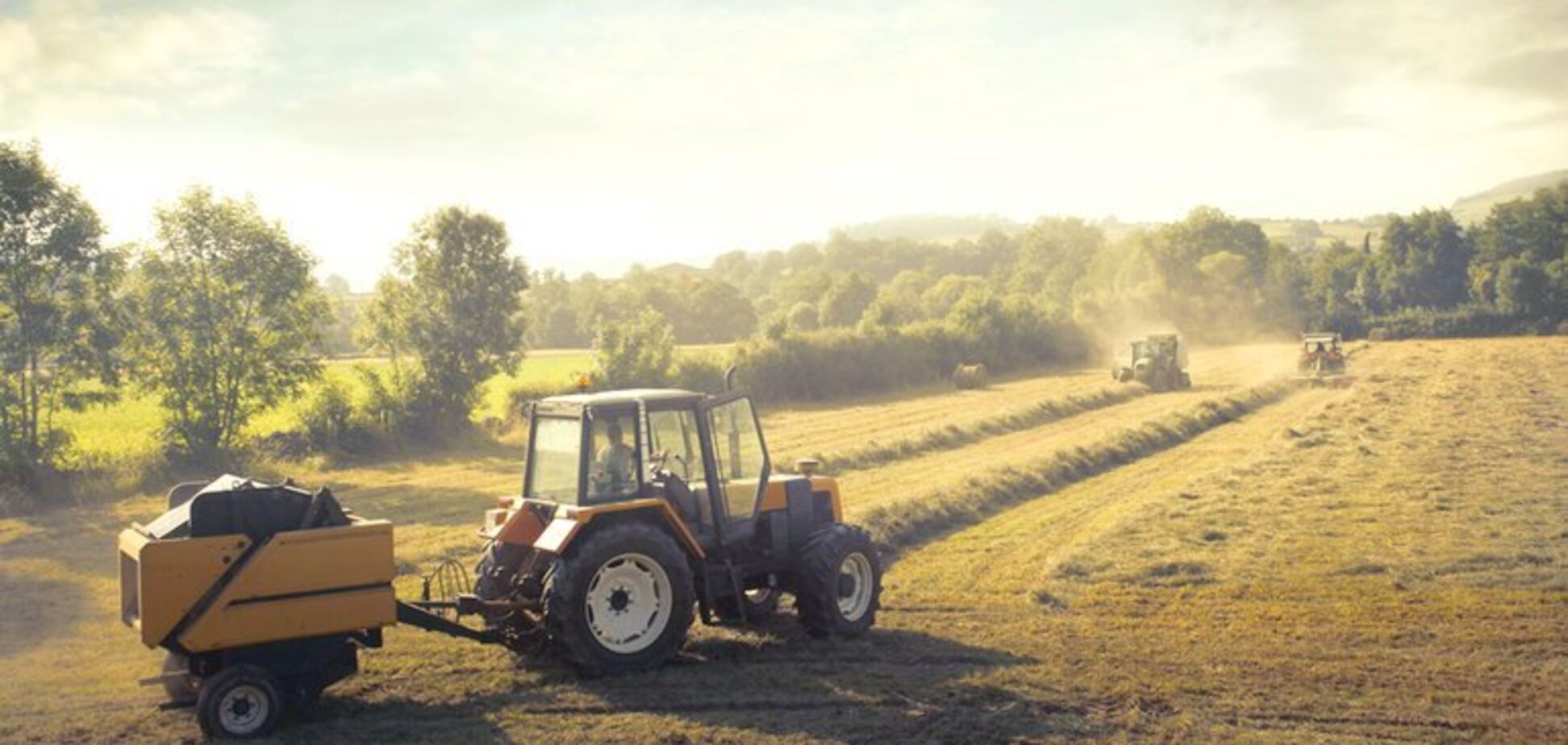 В Украине фермеров приравняли к предпринимателям: что известно