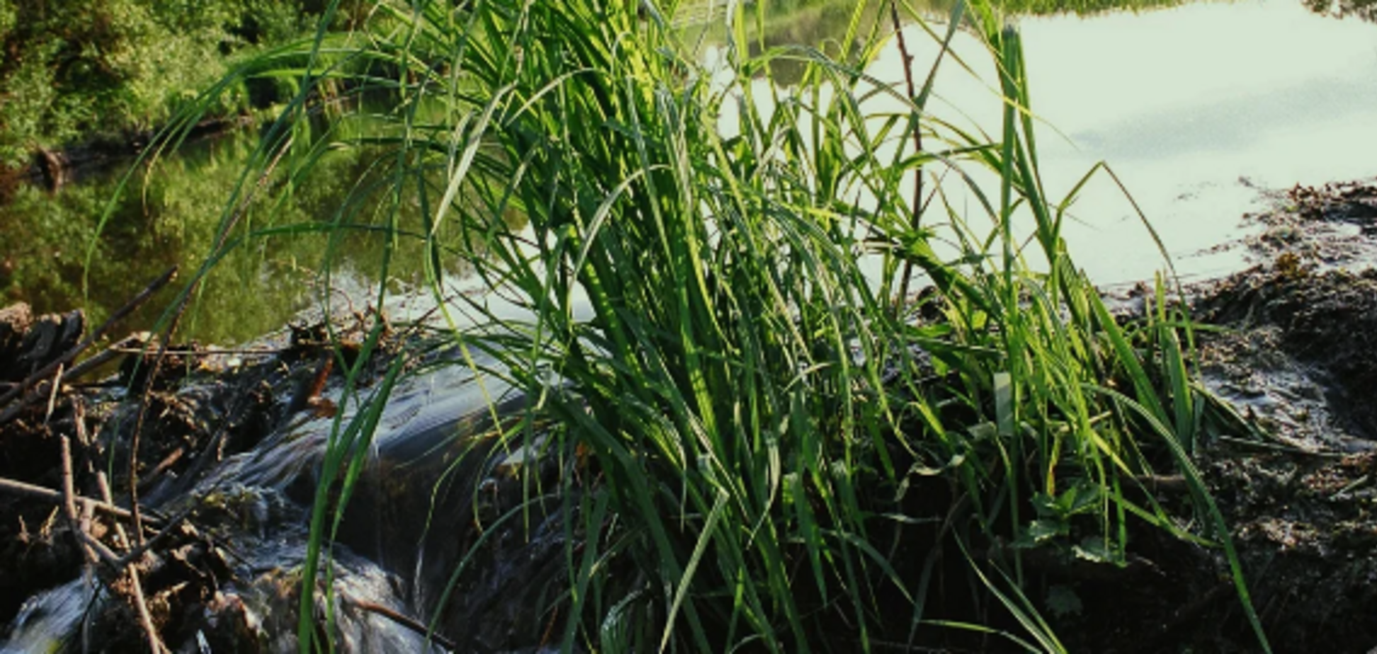 Ночи станут холодными: синоптики предупредили об изменении погоды в Украине