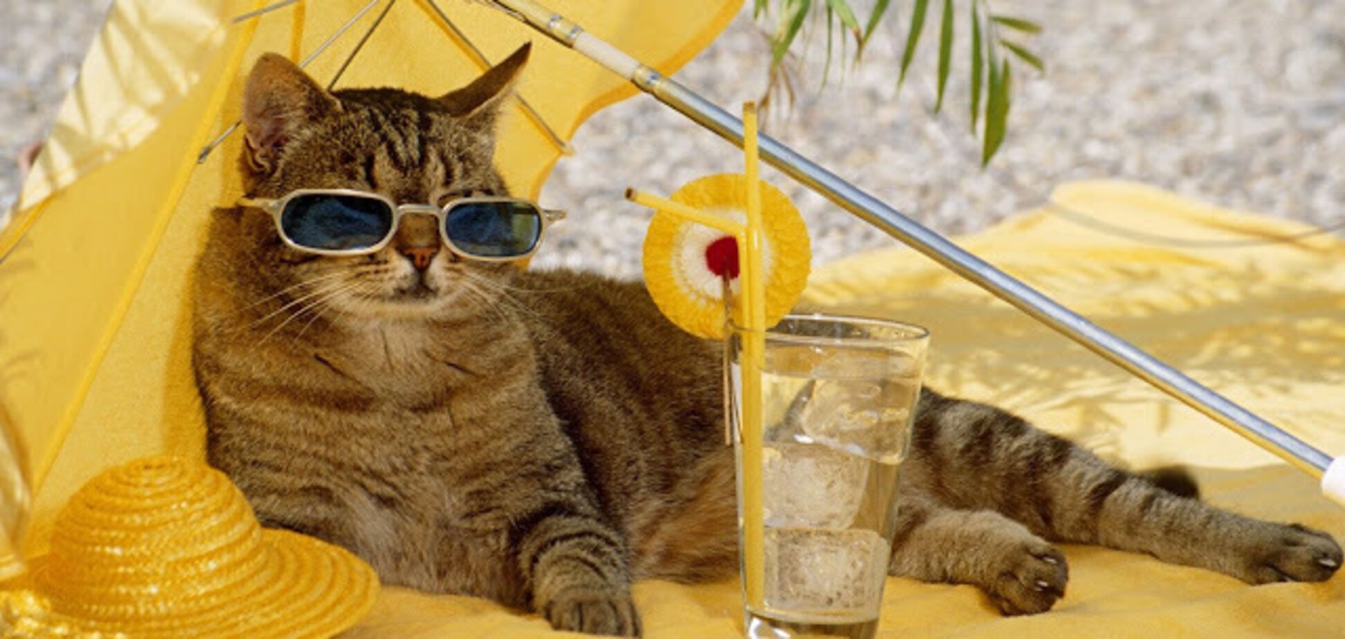 С жарой и дождями: синоптик дала точный прогноз на воскресенье