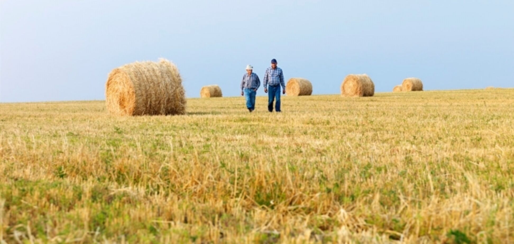 Украинским фермерам упростили налоговую волокиту