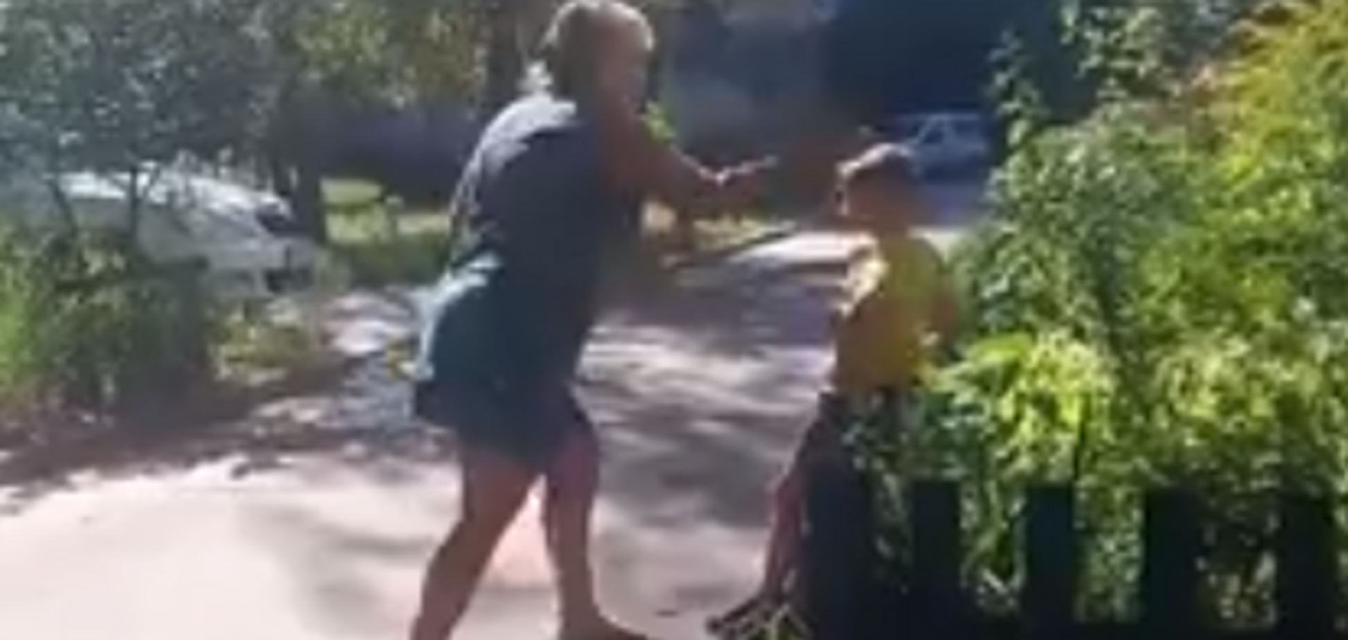 'Ты — сопля!' Конфликт женщины с ребенком в Житомире вызвал острый спор в сети