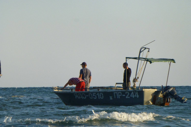 Вылов дельфинов