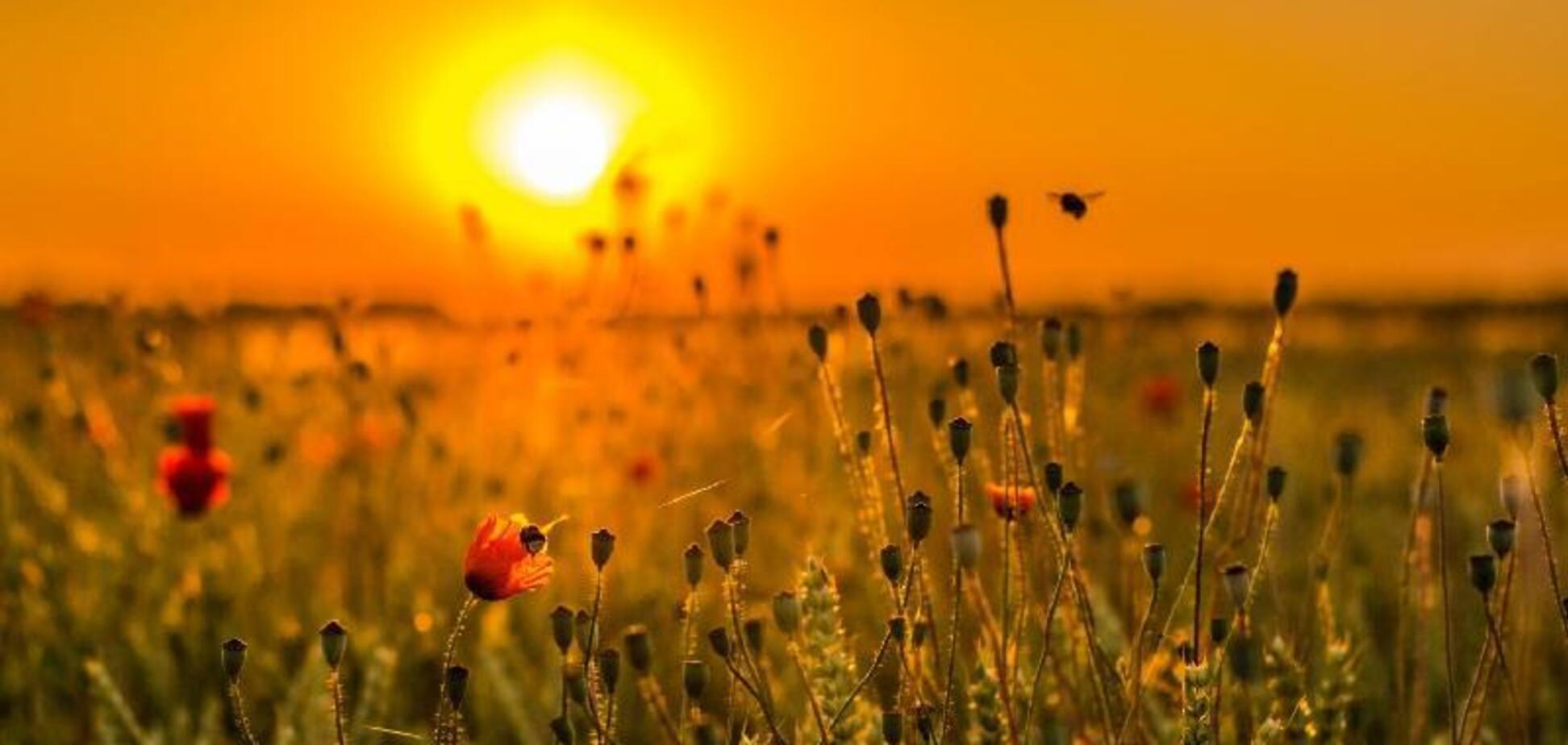 Украина плавится: синоптики пообещали еще большую жару