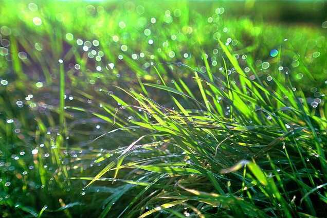 Жара местами спадет: синоптик уточнила прогноз погоды в Украине