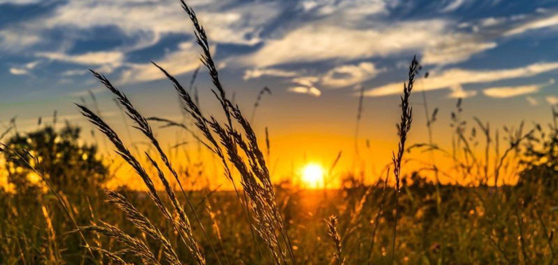 Жара не спадет: синоптики уточнили прогноз погоды в Украине