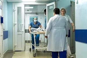У Львові дівчинка померла через укус змії: подробиці трагедії