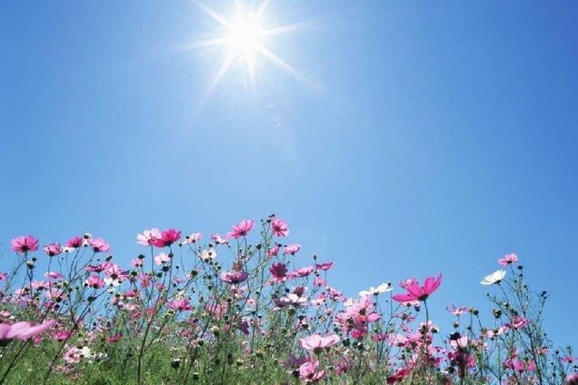 Жара отступит: в Украину идет похолодание с дождями и грозами