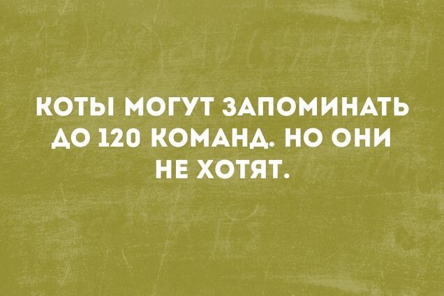 Анекдоты дня: лучшие шутки за 16 августа
