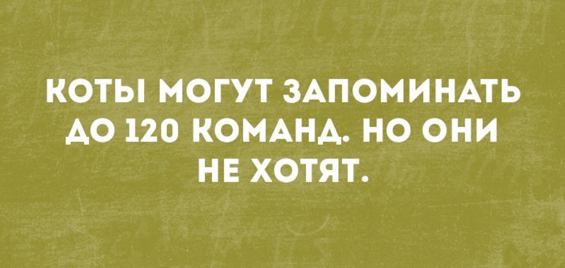 Анекдоты дня: лучшие шутки за 16 августа