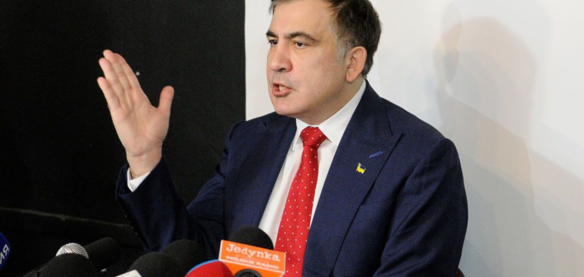 Гриценко пояснил ситуацию с Саакашвили