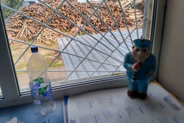 полиция Киево-Святошинский район