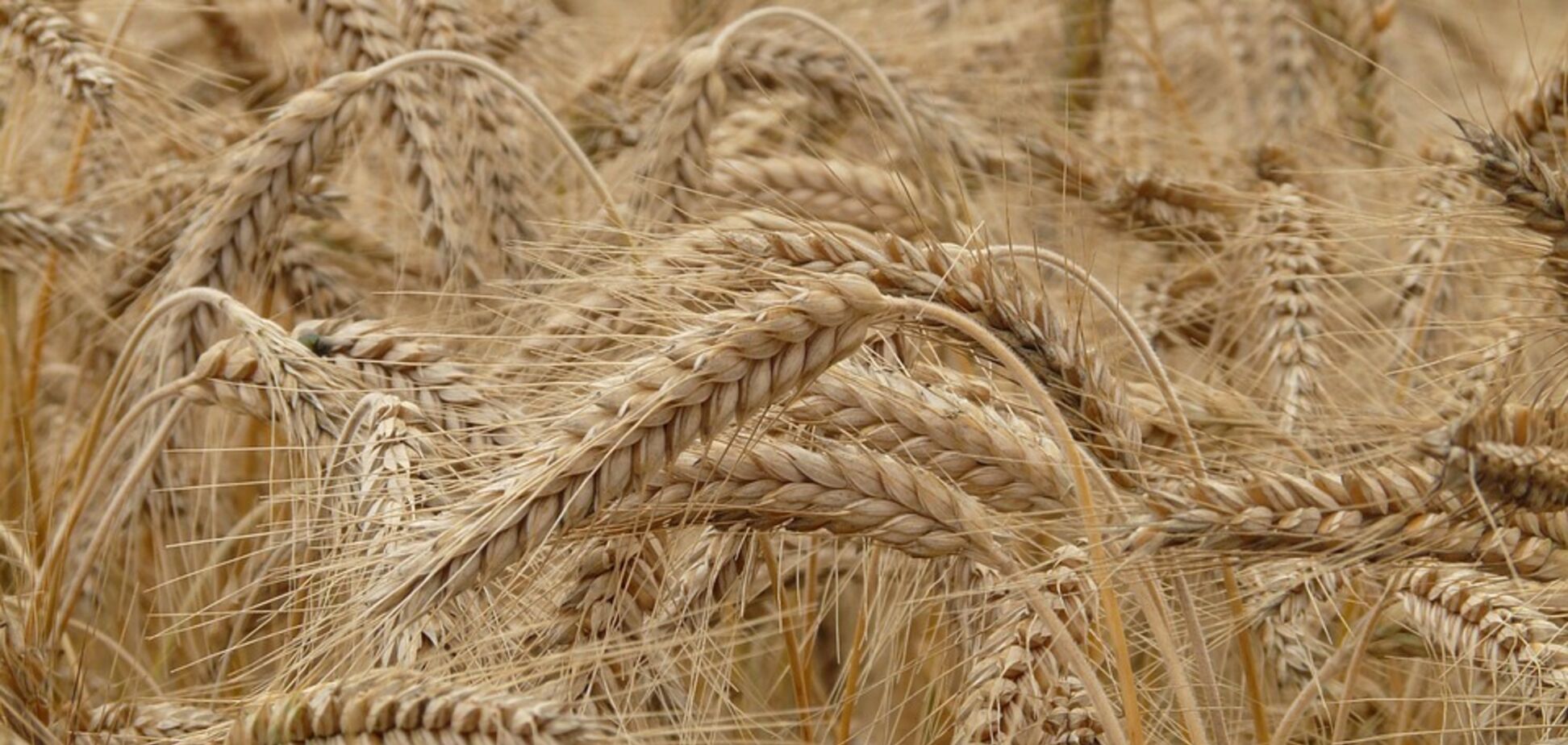 Приметы на 18 августа: что нельзя делать