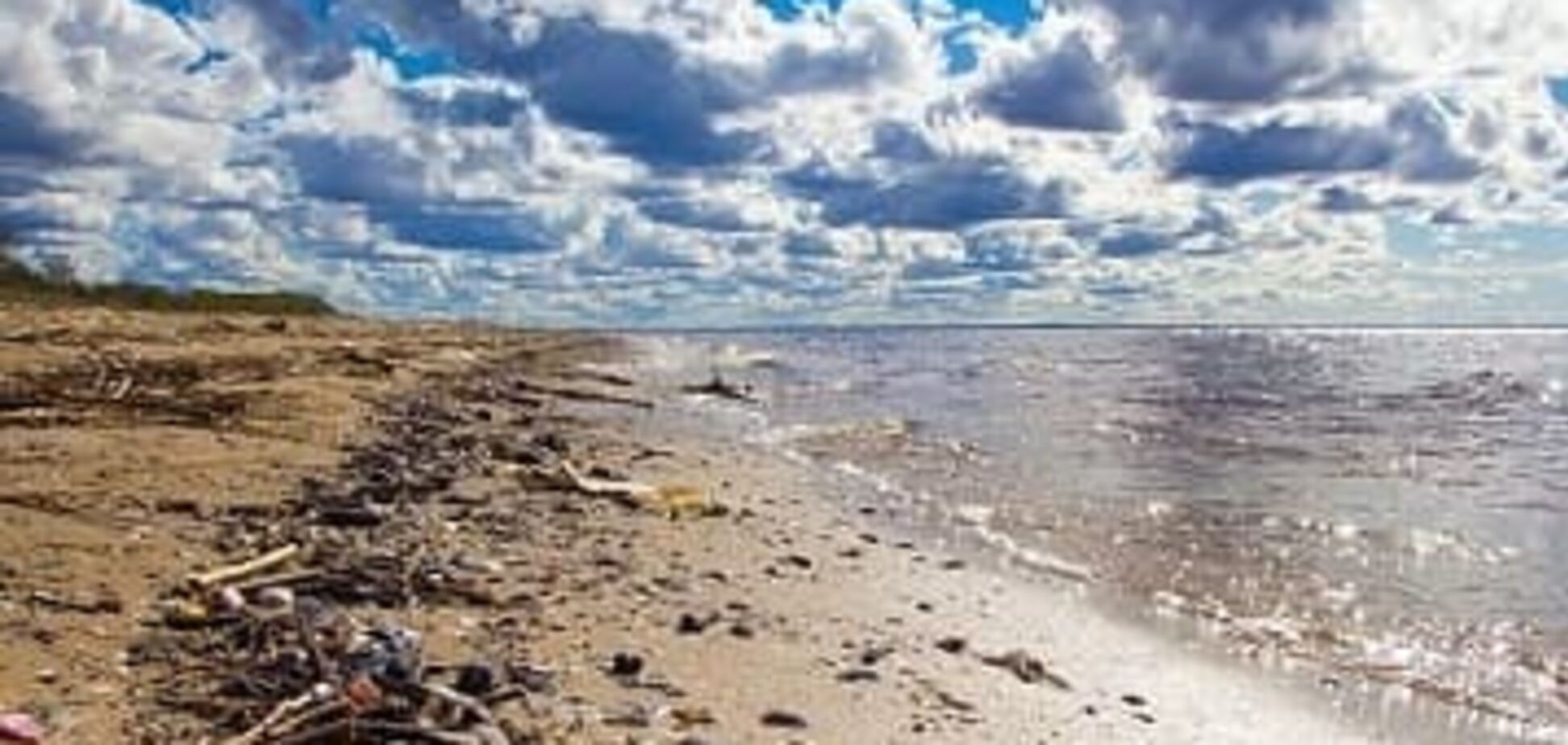 Опасность для туристов: в Одесской области запретили купаться в море
